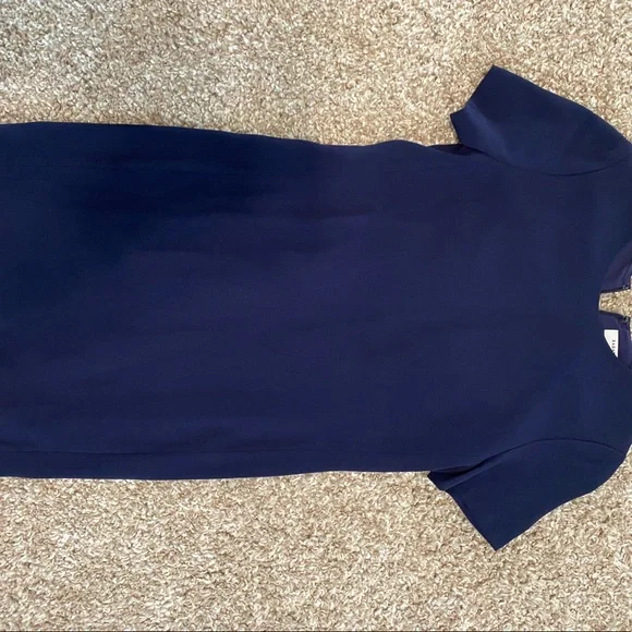 Aritzia Babaton Patricio Dress - Picture 1 of 7